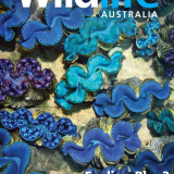 12087811_10153551236806208_3979148862878185250_o